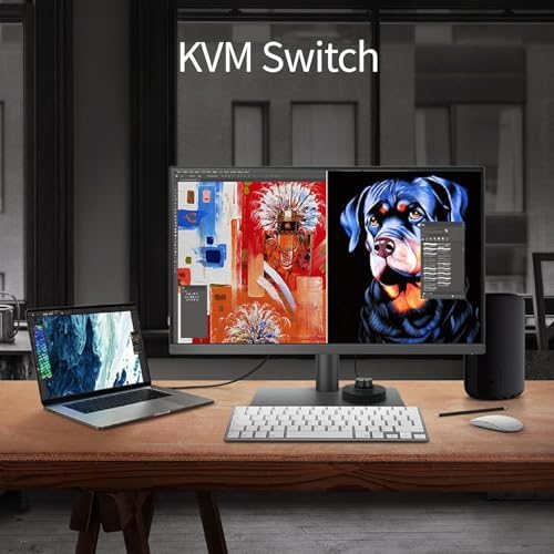 BenQ Monitor PD3205U listo para Mac de 32 pulgadas, 4K UHD, 99% Rec.709 y sRGB | IPS | DeltaE ≤3 | Sincronización ICC | Informe de calibración | AQCOLOR | Uniformidad | HotKey Puck | Ergonómico |