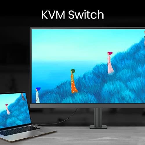 BenQ PD3205U Mac Ready Monitor 32 4K UHD 99  Rec 709 & sRGB  IPS  DeltaE  3  ICC Sync  Calibration Report  AQCOLOR  Uniformity HotKey Puck Ergonomic DisplayPort  USB C  90W   USB Hub