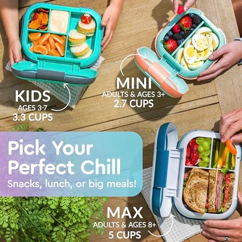 Bentgo Chill Kids Leak Proof Lunch Box   4 Compartment Bento Box with Built In Ice Pack  3 3 Cup Capacity  PFAS & BPA Free  Microwave & Dishwasher Safe  Ideal Size for Ages 3 to 7  Vivid Orchid 