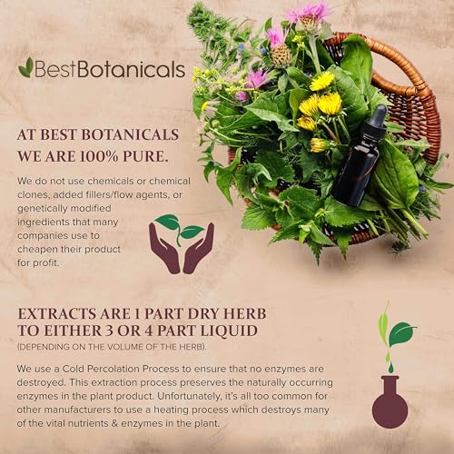 Best Botanicals Astragalus Root Powder 16 oz   Organic