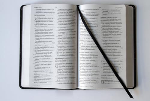 Biblia Reina Valera 1960 letra grande  Tapa dura  León de Judá  tama o manual/ Spanish Bible RVR 1960  Handy Size  Large Print  Hardcover  Lion of Judah  Spanish Edition 