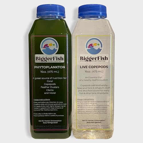 BiggerFish Live Copepods   Phytoplankton Combo Pack for Saltwater Fish  Coral  Invertebrates  2 16oz Bottles  Provide Vital Biodiversity and Nutrition for Saltwater Reef Aquariums