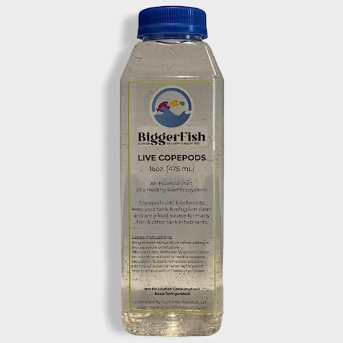 BiggerFish Live Copepods   Phytoplankton Combo Pack for Saltwater Fish  Coral  Invertebrates  2 16oz Bottles  Provide Vital Biodiversity and Nutrition for Saltwater Reef Aquariums