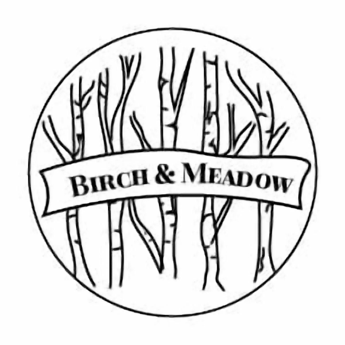 Birch & Meadow Ranch Seasoning Mix  1 3 lb  Powder  Salad Dressing & Dips  Spice Blend