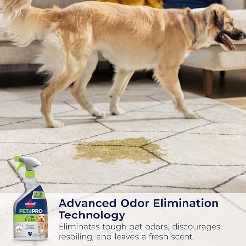 Bissell Pet Pro Stain and Odor Eliminator with Enzyme Action  2 pack  77X7F