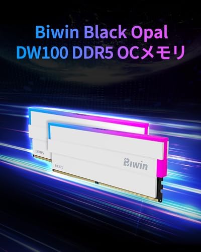 Biwin Black Opal DW100 DDR5 RGB RAM 32GB  16GBx2  8000MHz CL36 Computer Memory Intel XMP 3 0 AMD EXPO Compatible  White   DW100 32GB 8000 1R8 CW017