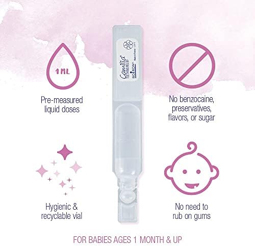 Boiron Camilia Teething Drops for Daytime and Nighttime Relief of Painful or Swollen Gums and Irritability in Babies   40 Liquid Droppers Bundled in 8 separate packs of 5