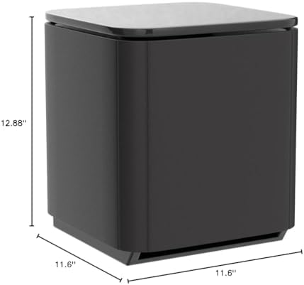 Bose Bass Module 700   Black  Wireless  Compact Subwoofer