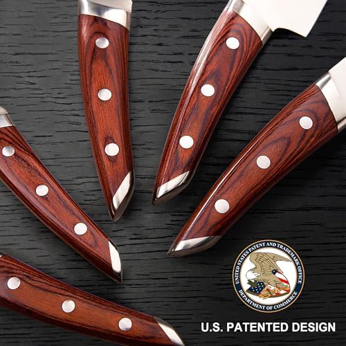 Brewin CHEFILOSOPHI Japanese Chef Knife Set 5 PCS with Elegant Red Pakkawood Handle Ergonomic Design Professional Ultra Sharp Kitchen Knives for Cooking High Carbon Stainless Steel