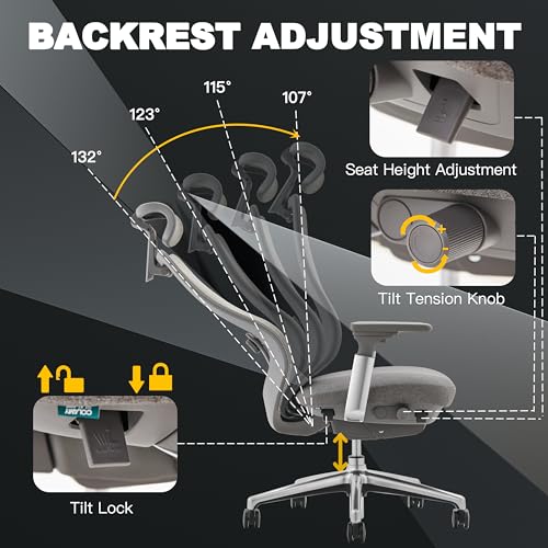 COLAMY Ergonomic Mesh Office Chair  High Back Executive Desk Chair with Adjustable Headrest  4D Arm  Slide Seat  Tilt Lock  Lumbar Support  Grey