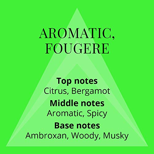 COLOUR ME Milton Lloyd Volt   Cologne for Men   Aromatic Fougere Fragrances   Mens Cologne   Long Lasting Perfume for Men   Eau de Parfum   3 oz