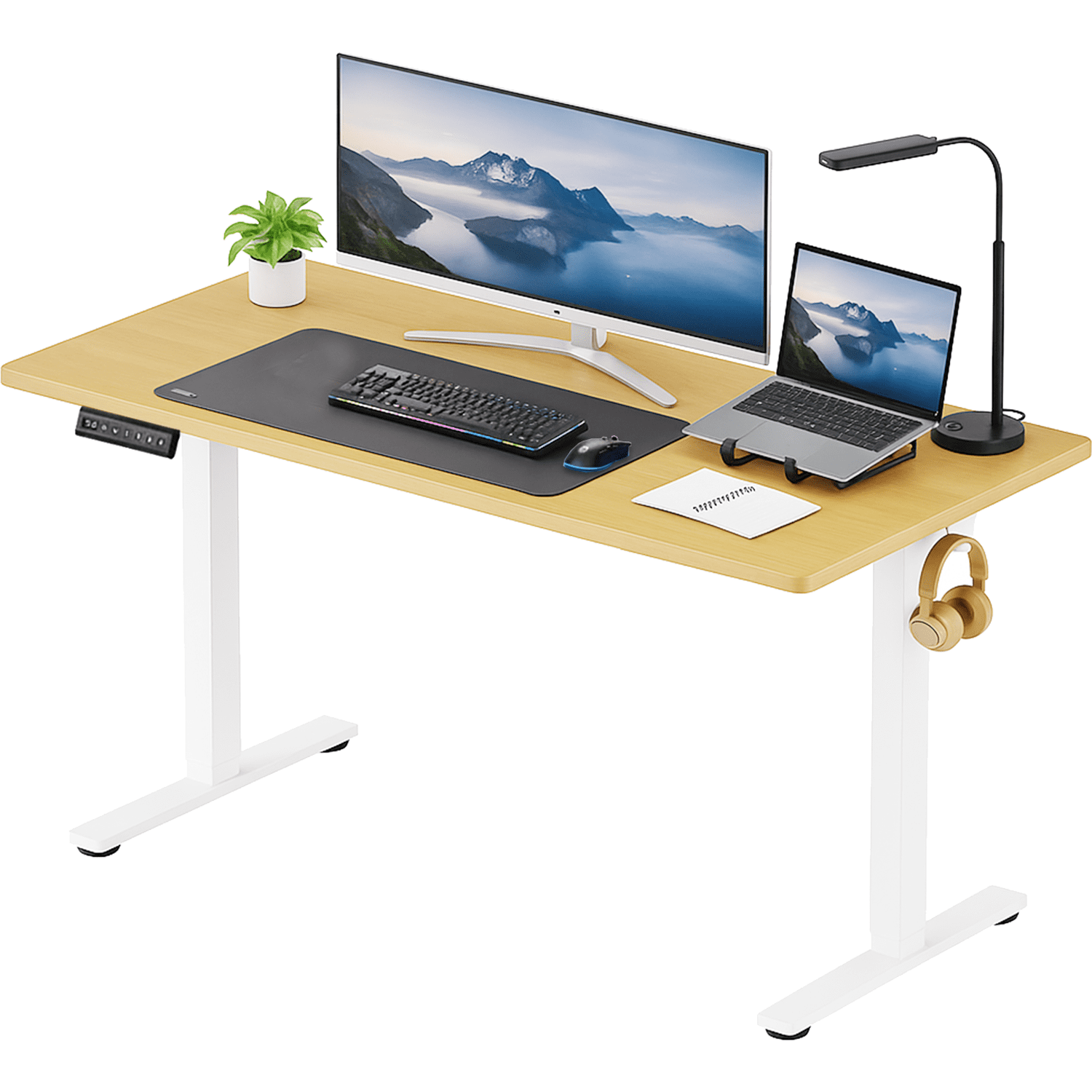 CONCETTA Electric Standing Desk  64  x24   Height Adjustable Desk  Home Office Desk with Electric Lift  Sit Stand Desk Workstation for Home Office  Oak