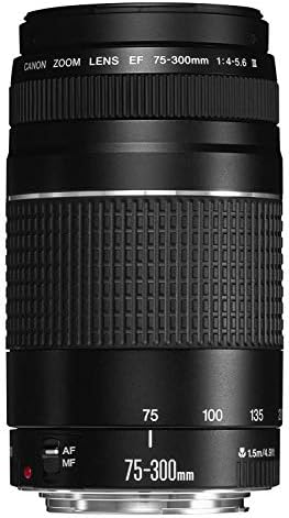 Canon EF 75 300mm f/4 5 6 III Telephoto Zoom Lens for Canon SLR Cameras