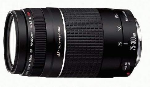 Canon EF 75 300mm f/4 5 6 III Telephoto Zoom Lens for Canon SLR Cameras