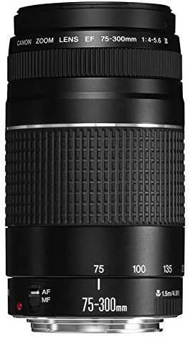 Canon EF 75 300mm f/4 5 6 III Telephoto Zoom Lens for Canon SLR Cameras