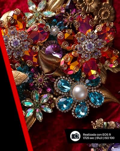 Canon RF 35mm F1 8 is Macro STM Lens   Fast Wide Angle Prime Lens   5 Stop Image stabilisation  1 2 Macro  Compatible with All Canon EOS R Series Cameras