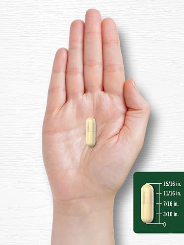 Carlyle Soy Isoflavones for Women and Men   200 Capsules   Non GMO  Gluten Free Extract Supplement