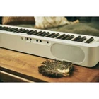 Casio Privia 88 Key Digital White Piano with Smart Scaled Hammer Action Keyboard