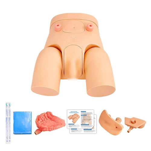 Catheterization Model Male Female Interchangeable  Nursing Practice Urinary Urethral Catheter Manikins PVC Teaching Catheter Model for Students Or Nurses Catheterization Simulator Kit