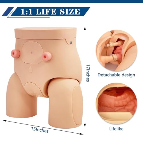 Catheterization Model Male Female Interchangeable  Nursing Practice Urinary Urethral Catheter Manikins PVC Teaching Catheter Model for Students Or Nurses Catheterization Simulator Kit