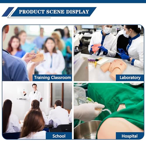 Catheterization Model Male Female Interchangeable  Nursing Practice Urinary Urethral Catheter Manikins PVC Teaching Catheter Model for Students Or Nurses Catheterization Simulator Kit