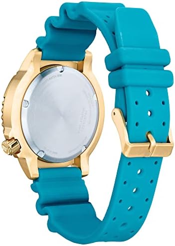 Citizen Promaster Dive Eco Drive Watch  3 Hand Date  ISO Certified  Luminous Hands and Markers  Rotating Bezel