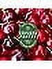 Coca cola Cherry Soda Bundled by Louisiana Pantry  Cherry  12 oz 12 Pack