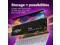 Crucial P310 M 2 2280 1TB PCI Express 4 0 x4 NVMe 3D NAND Internal Solid State Drive Speed Up to 7100 MBps  SSD  CT1000P310SSD8