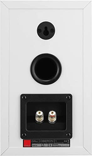 DALI   Oberon 1  Light Oak