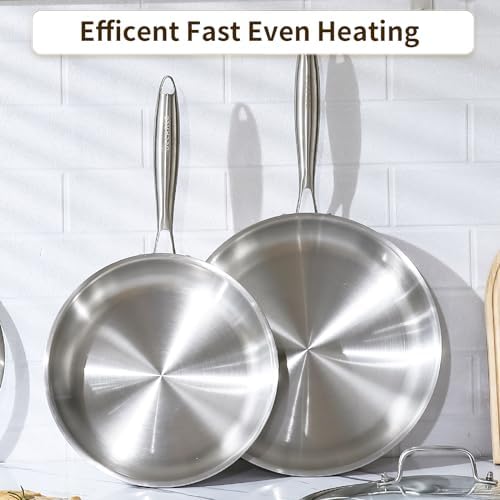 DELARLO Kitchen Whole Body Tri Ply Stainless Steel Frying Pan  12 inch Stainless Steel  Oven safe induction skillet  Pots and Pans set Suitable for All Stove