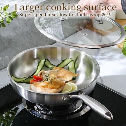 DELARLO Kitchen Whole Body Tri Ply Stainless Steel Frying Pan  12 inch Stainless Steel  Oven safe induction skillet  Pots and Pans set Suitable for All Stove