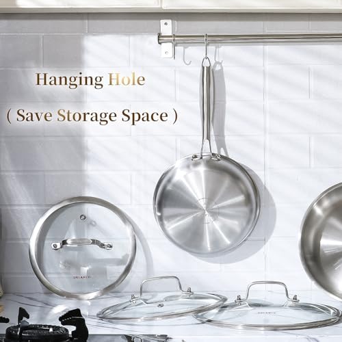 DELARLO Kitchen Whole Body Tri Ply Stainless Steel Frying Pan  12 inch Stainless Steel  Oven safe induction skillet  Pots and Pans set Suitable for All Stove