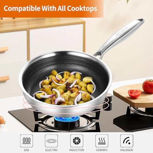 DELARLO Kitchen Whole Body Tri Ply Stainless Steel Frying Pan  12 inch Stainless Steel  Oven safe induction skillet  Pots and Pans set Suitable for All Stove