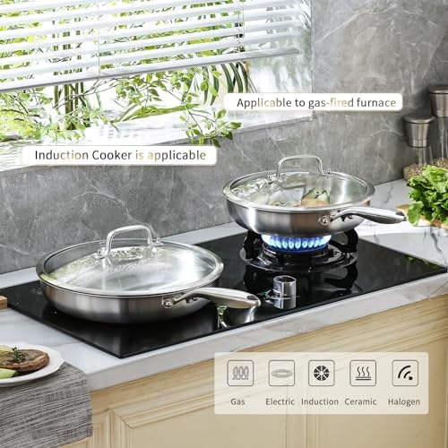 DELARLO Kitchen Whole Body Tri Ply Stainless Steel Frying Pan  12 inch Stainless Steel  Oven safe induction skillet  Pots and Pans set Suitable for All Stove