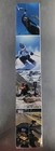DJI Osmo Action 5 Pro Adventure Combo Bundle   NEW SEALED