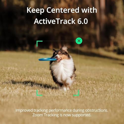 DJI Osmo Mobile SE  3 Axis Phone Gimbal for iPhone  Android  Built in Tripod  Selfie Stick  Gimbal Stabilizer for iphone  Andriod  ActiveTrack 6 0  Vlogging Stabilizer for Youtube  TikTok  Travel