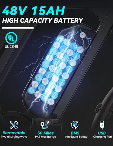 DTTZH F6/F6S/F6PRO Electric Bike for Adults with NFC & Password Unlock  4000/2000/1500W  50/40/33MPH  60V 30Ah  48V 15/25Ah E Bike  100 60 Miles Electric Motorcycle  20 Fat Tire Electric Dirt Bike