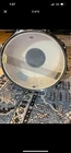 DW Performance Series Snare Drum   5 5 x 14 inch   BlackDiamond FinishPly