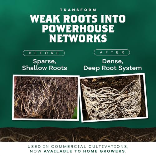 DYNOMYCO Granular Mycorrhizal Fungi Inoculant  200g / 7oz   Boosts Root Growth  Yields & Nutrient Uptake   900 Propagules/g  Concentrated Granules  & OMRI Listed   Biofertilizer for Plant Growth