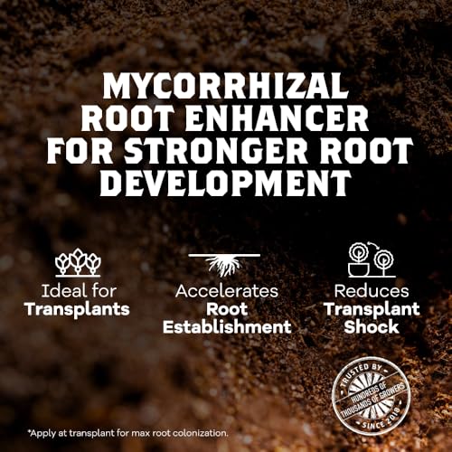 DYNOMYCO Granular Mycorrhizal Fungi Inoculant  200g / 7oz   Boosts Root Growth  Yields & Nutrient Uptake   900 Propagules/g  Concentrated Granules  & OMRI Listed   Biofertilizer for Plant Growth