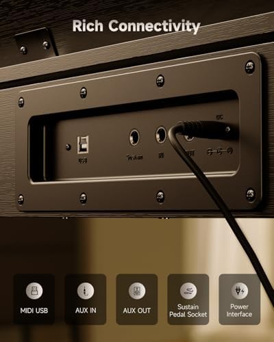 Donner OURA DDP-60 Piano digital de 88 teclas: teclado de tamaño completo, tacto sensible, 8 reverberaciones, grabación, 128 voces. Incluye tres pedales, teclado de piano eléctrico para principiantes