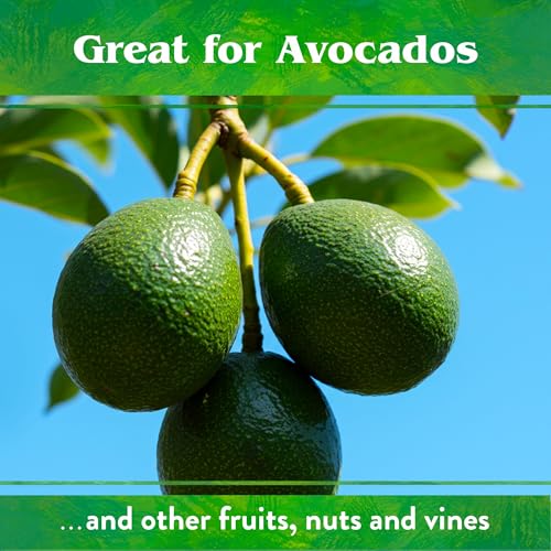 Down To Earth All Natural Fertilizers Organic Citrus Mix   Plant Food for Lemons  Limes  Oranges and Avocados 6 3 3  25 lb