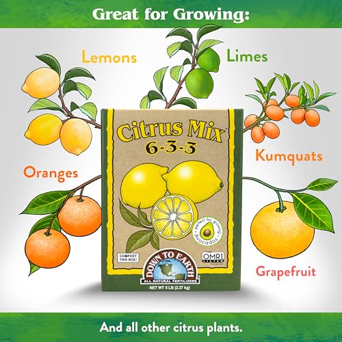 Down To Earth All Natural Fertilizers Organic Citrus Mix   Plant Food for Lemons  Limes  Oranges and Avocados 6 3 3  5 lb