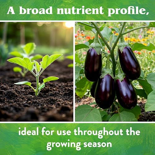 Down To Earth All Natural Fertilizers Organic Vegetable Garden   Plant Food for Vegetables  Herbs  Greens and Raised Beds 4 4 4  5 lb