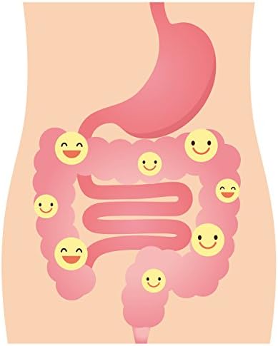 DrFormulas Best Probiotics for Women & Men   Nexabiotic Multi Probiotic with Saccharomyces Boulardii  Lactobacillus Acidophilus  B  infantis  Prebiotic 60 Count Capsules  Not Pearls