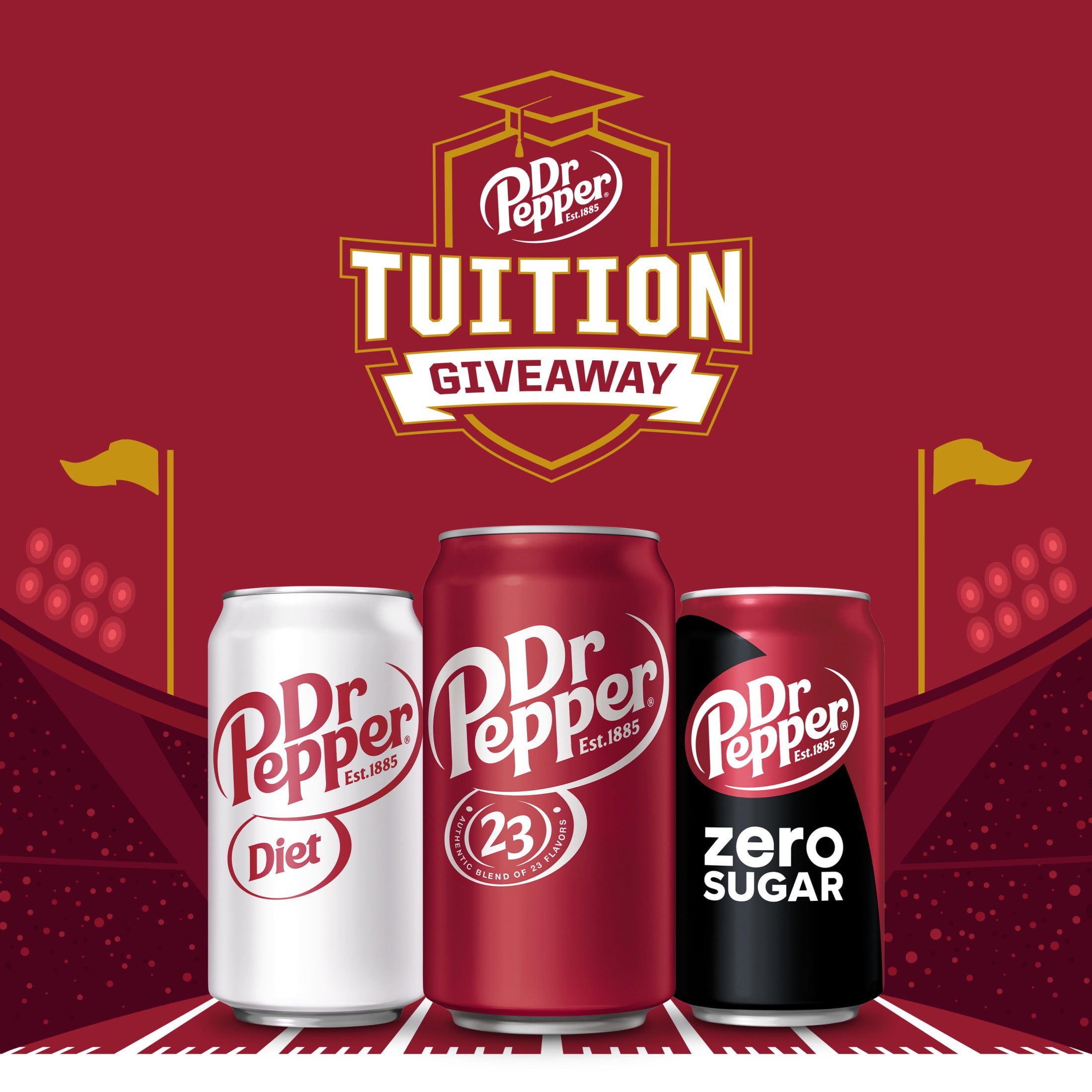 Dr Pepper Soda Pop  12 fl oz  12 Pack Cans