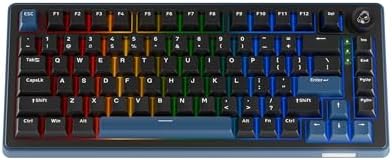 Ducky OK M   65  Wireless Mechanical Gaming Keyboard   Gasket Mount Design  Hot Swappable Switches  Five Layer Acoustic Dampening  RGB  USB C  2 4Ghz  Bluetooth  Baby Switch