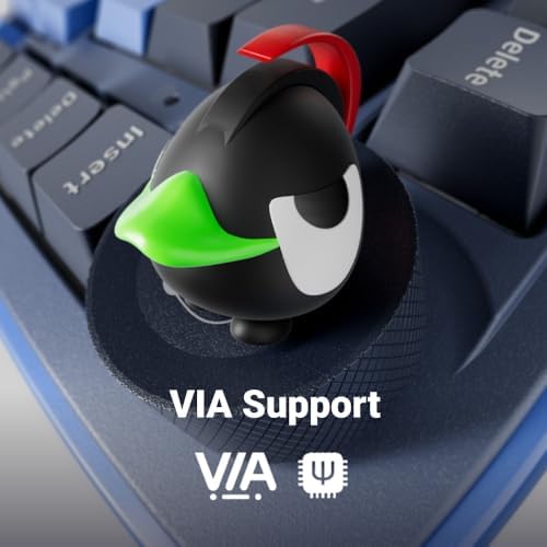 Ducky OK M   65  Wireless Mechanical Gaming Keyboard   Gasket Mount Design  Hot Swappable Switches  Five Layer Acoustic Dampening  RGB  USB C  2 4Ghz  Bluetooth  Baby Switch