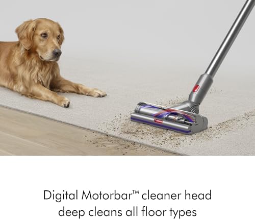 Dyson V15 Detect Cordless Vacuum Cleaner  Yellow/Nickel