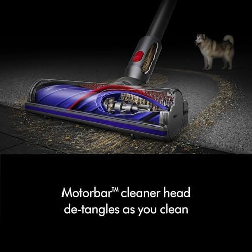 Dyson V8 Cordless Vacuum  Cleans Hard Floors and Carpets  Detangles  Converts to Handheld  115AW  2 Power Modes  Up to 40 Minutes 